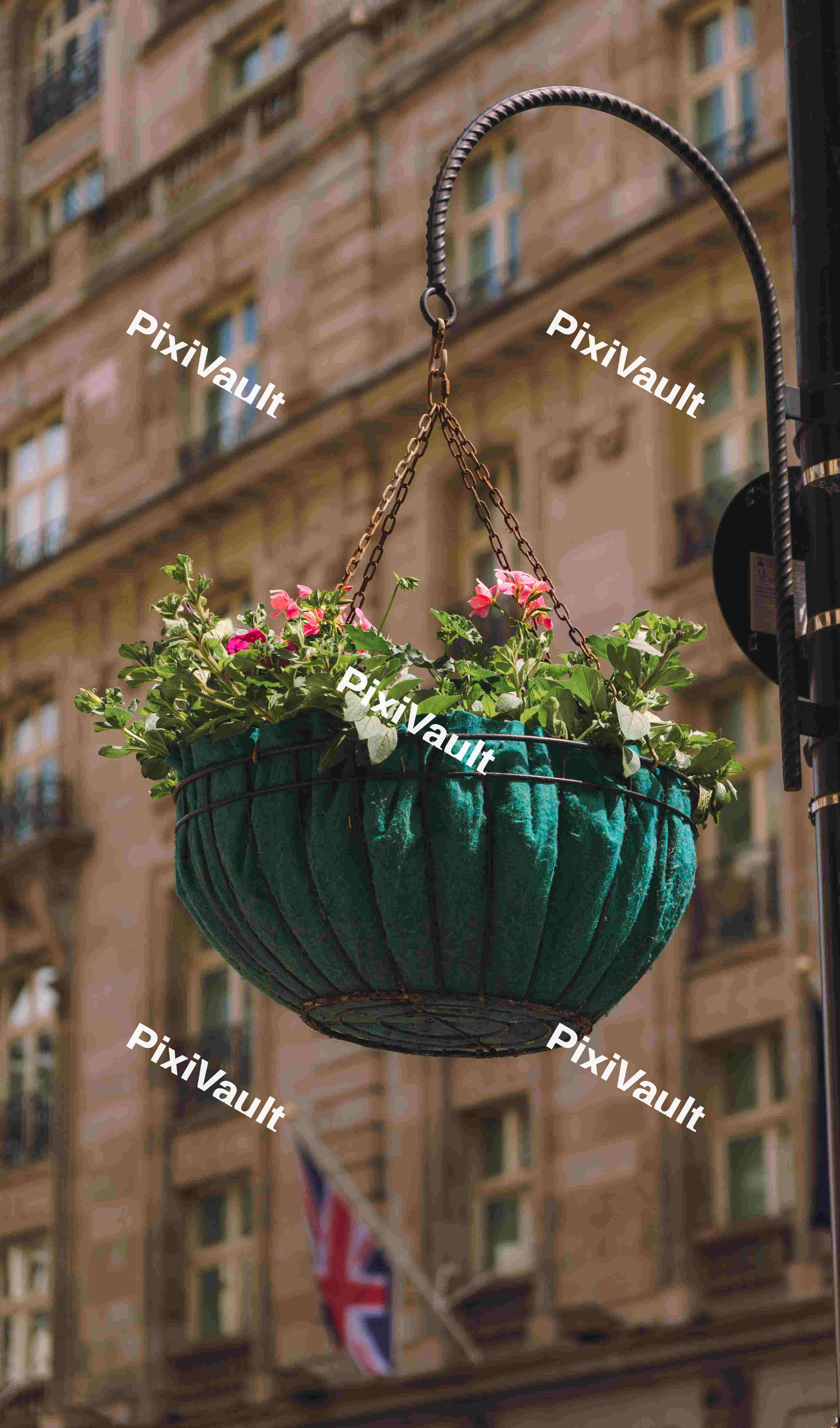 Hanging Flower Pot
